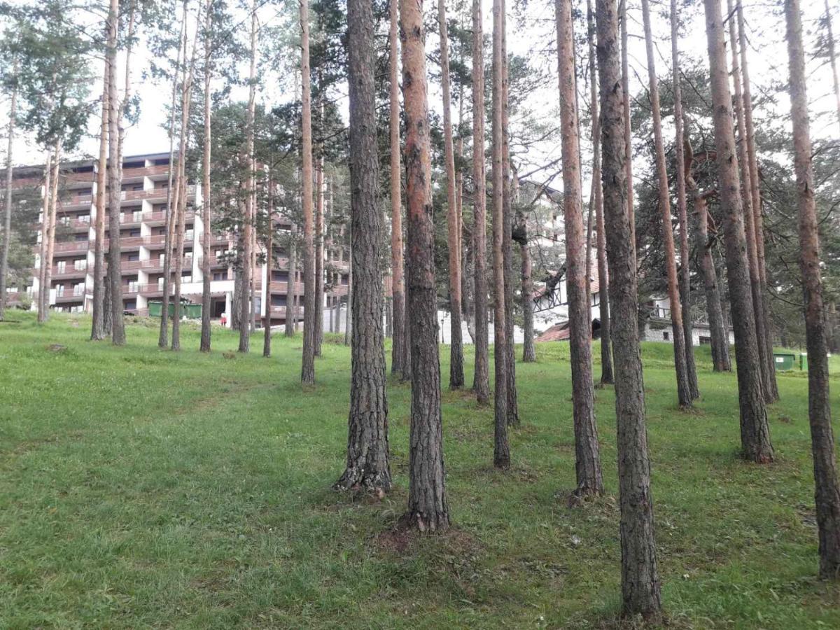 Lux Apartman Ss Zlatibor Vila Pekovic Green Εξωτερικό φωτογραφία